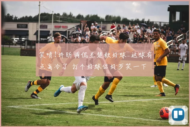 笑喷!许昕调侃王楚钦好球_这球有点高冷了 打个好球你好歹笑一下