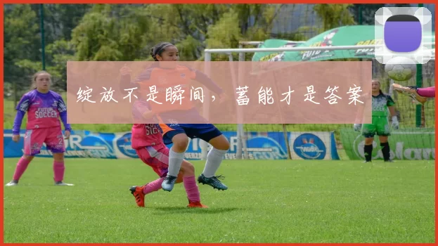 绽放不是瞬间，蓄能才是答案