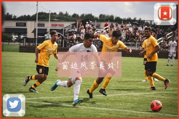 窗边风景真好！