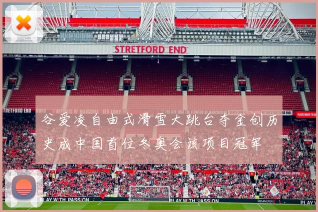 谷爱凌自由式滑雪大跳台夺金创历史成中国首位冬奥会该项目冠军