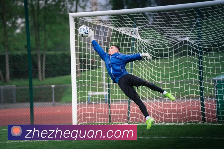 乐鱼体育官方网站平台生态图